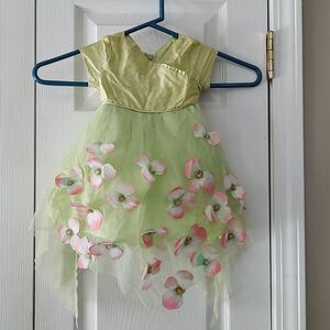 C'est Chouette lime green silk &  tulle embellished pink floral dress Sz 6M  NWT